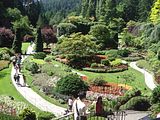 12 - Butchard Gardens  - IMGA0253
